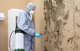 Best Mold Remediation for Healthcare Facilities  in Reliez Valley, CA